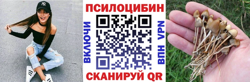 Псилоцибиновые грибы Psilocybe Купить Железноводск